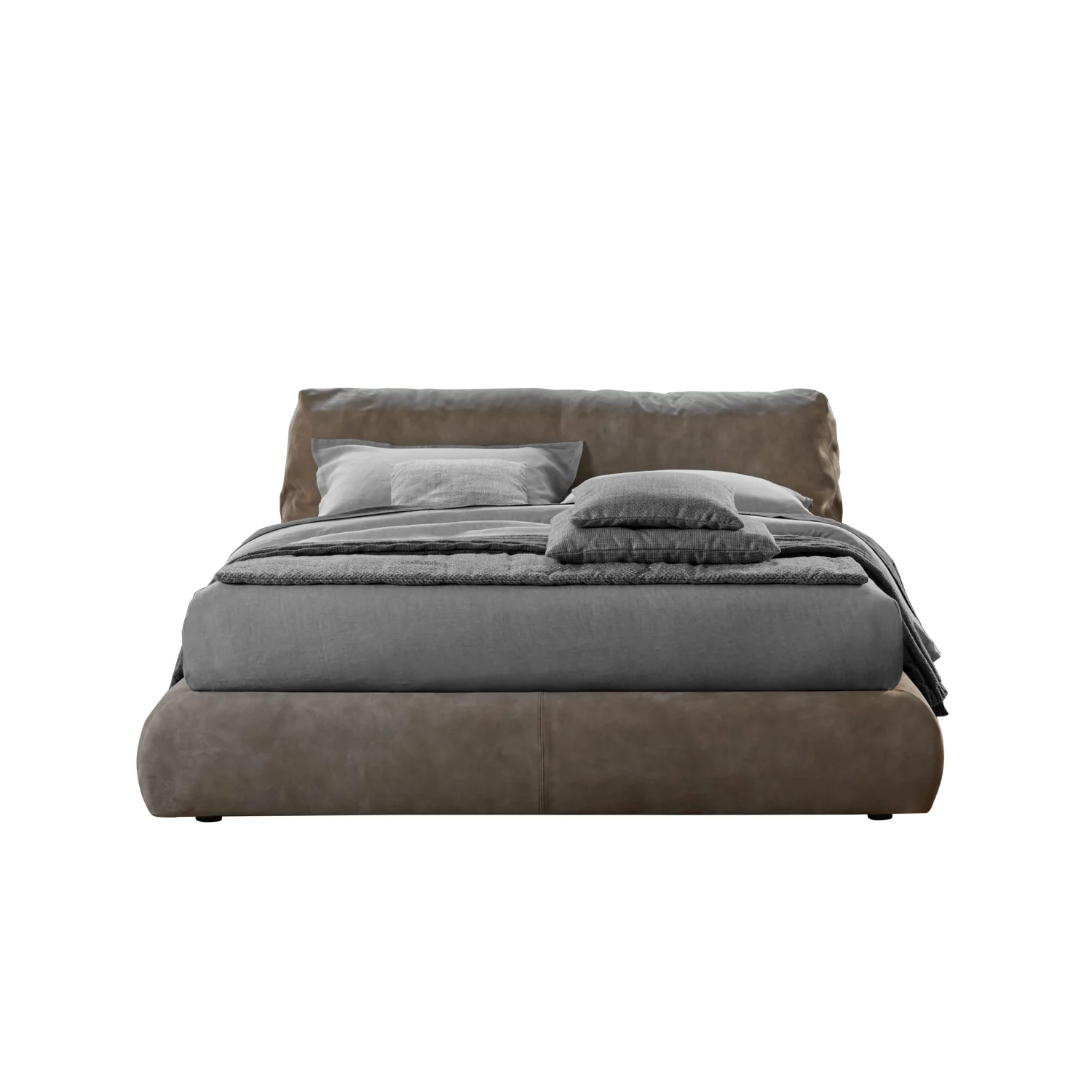 SHARPEI_BOX - Image 4